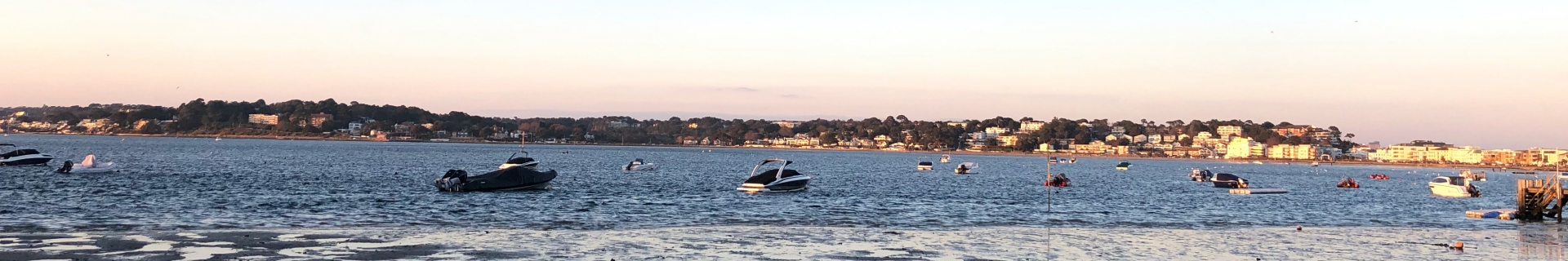 Banner image for Poole